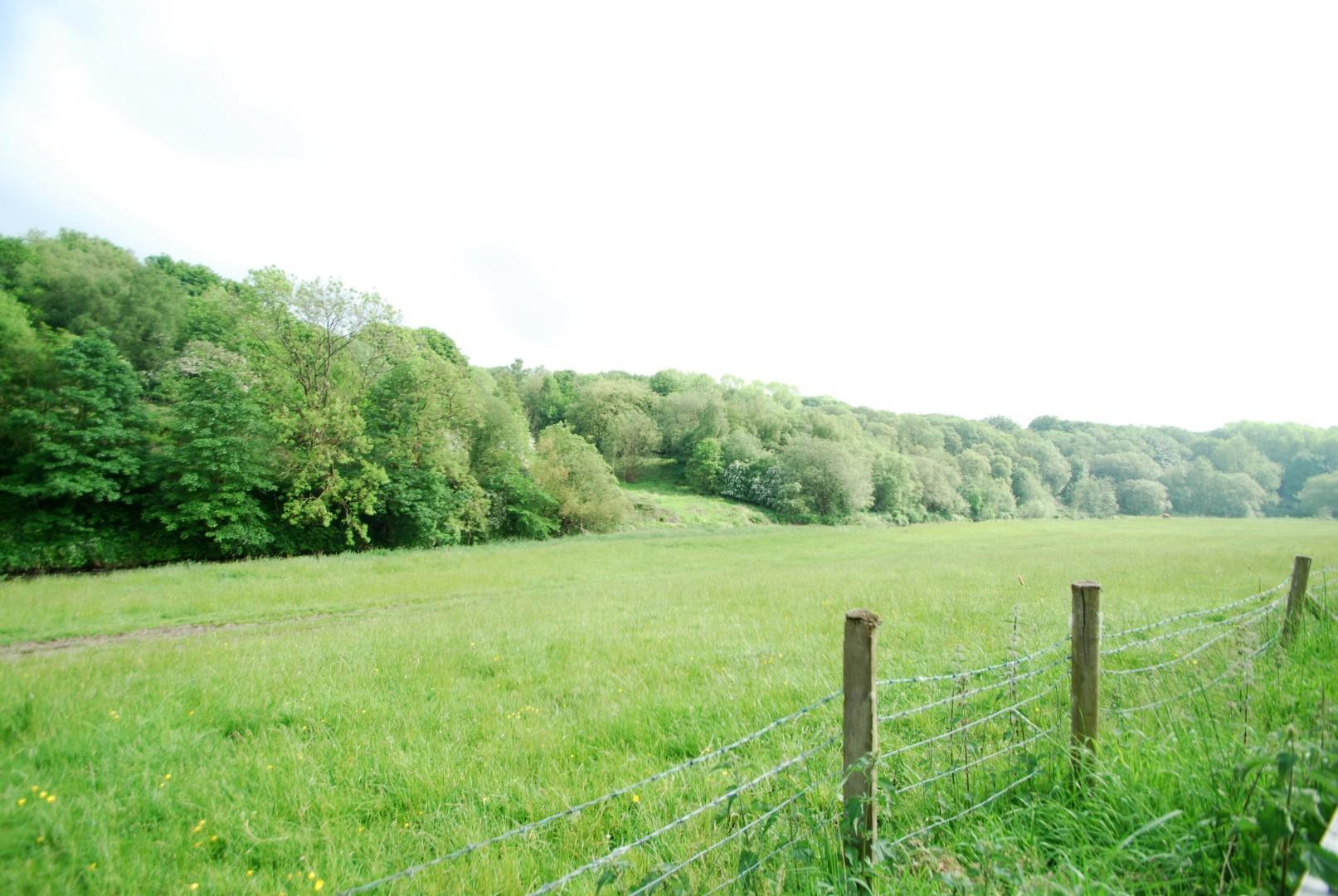 Roach Street, Bury Pearson Ferrier Estate Agents and Lettings Agents